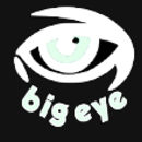 Big Eye - IT Solutions - Computers & Computer Equipment-Service & Repair