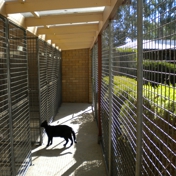 Gallery Image Number 5
