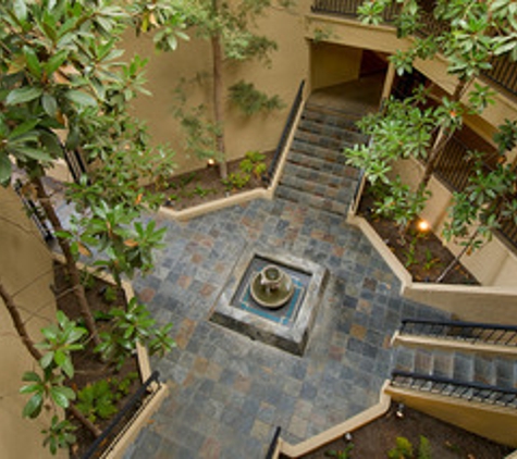 Atrium Downtown - Walnut Creek, CA