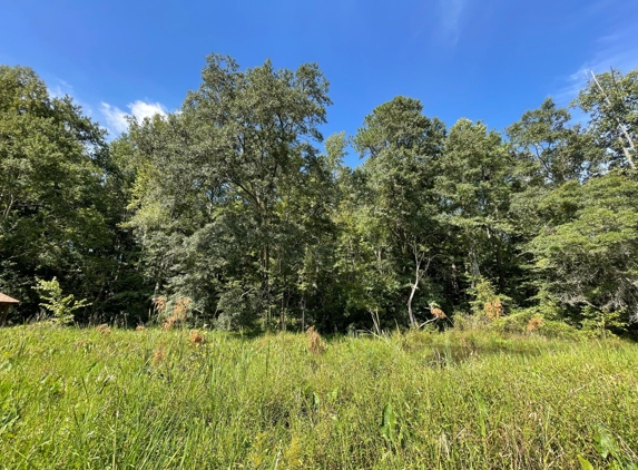 Newman Wetlands Center - Hampton, GA