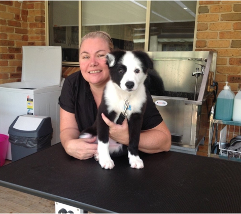 Lake Macquarie Dog Grooming - Eleebana, NSW
