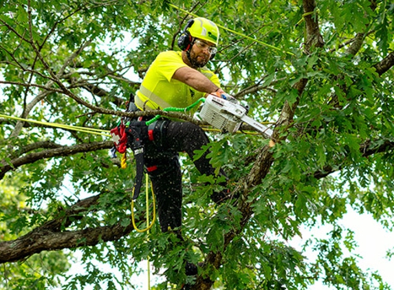 Bartlett Tree Experts - Sewell, NJ - Sewell, NJ