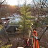 Millers Tree Service gallery