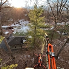Millers Tree Service