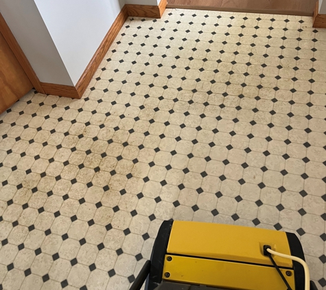 Downey's Carpet Care of Granville - Pataskala, OH