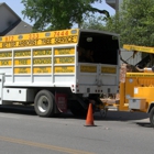 A Better Arborist Tree Service