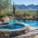 No Limit Pools & Spas - Swimming Pool Repair & Service