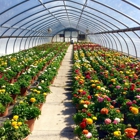 Valley View Wholesale Greenhouses