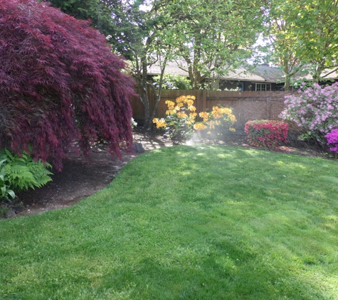 Little Guys Sprinklers - Vancouver, WA