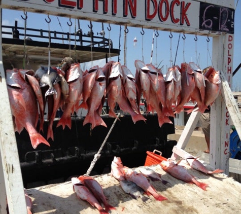 Dolphin Dock - Port Aransas, TX