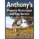 Anthony's Property Restoration and Tree service - Tree Service