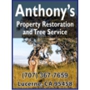Anthony's Property Restoration and Tree service