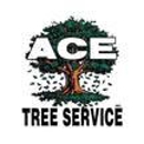 Ace Tree Service - Tree Service