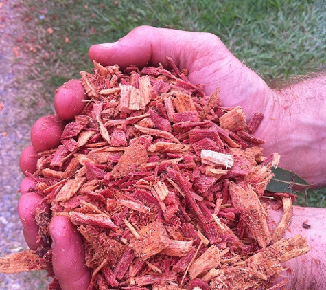 ANC Tree Services - Jimboomba, QLD