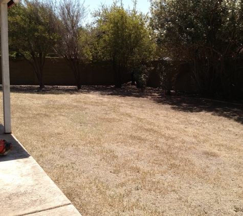 Sergio's Landscaping & Lawn Service - Phoenix, AZ