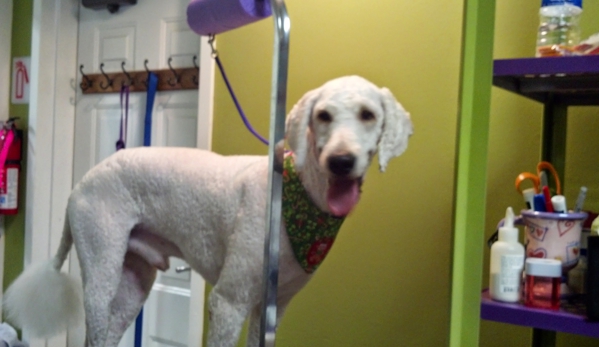 Mandy's Mobile Pet Grooming Salon - Dunnellon, FL