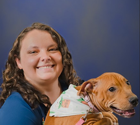 Tampa Veterinary Hospital - Tampa, FL