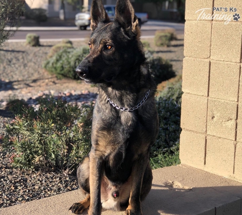 Pat's K9 Training - Goodyear, AZ