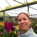 Orchids & Flower Shop - Florists