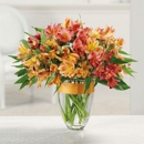 Golden Mushroom Florist - Florists