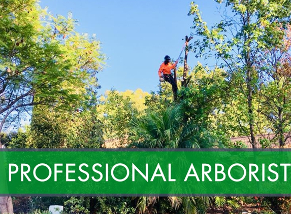 Arbortec Tree Service - Dubbo, NSW. Professional Arborist