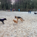 Marymoor Off-Leash Dog Park - Parks