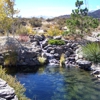 Liquid Landscape gallery