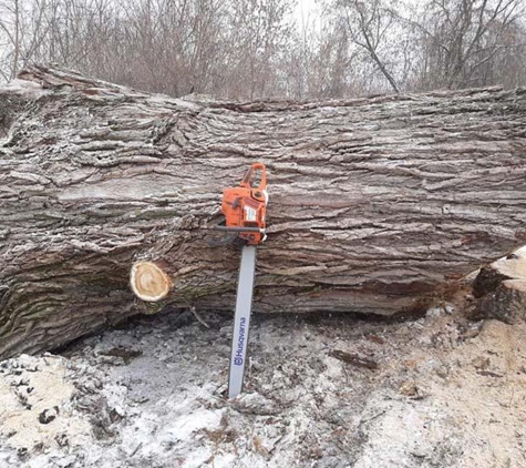 Fellers Tree Removal