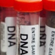 Discounted Local DNA Paternity Lab