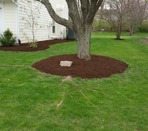 AJ's Lawn Care & Snow Removal - Fishers, IN