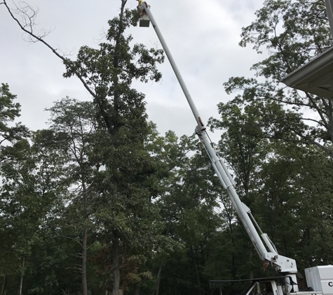 Case Tree Service - Spartanburg, SC