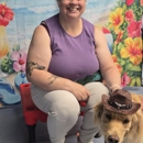 Springfield Side Kick Dog Training, Boarding, Daycare & Grooming - Pet Boarding & Kennels