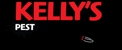 Kelly's Pest Management - Pest Control
