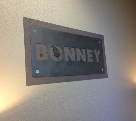 Bonney Plumbing, Sewer, Electrical, Heating & Air - Rancho Cordova, CA