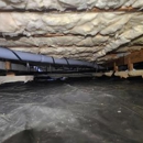 Rodent Guard Pest Control - Pest Control Services