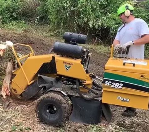 Gold Tooth Gorilla Tree Service - Lake Oswego, OR