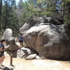 Idyllwild Nature Center gallery