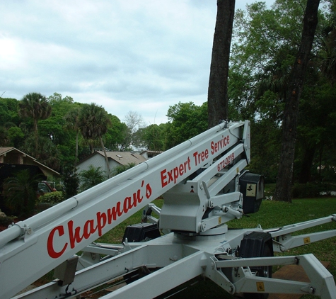 Chapmans Expert Tree Service - Daytona Beach, FL