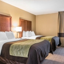 Comfort Inn & Suites Piqua-Near Troy-I75 - Motels