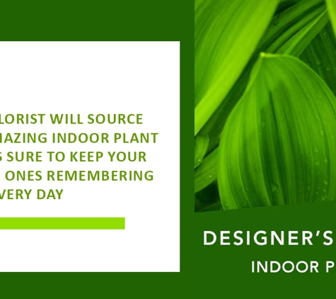 Carlton North Flowers - Carlton North, VIC. Our Florist Will Source An Amazing Indoor Plant That’s Sure To Keep Your Loved Ones Remembering You Every Day