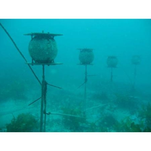 McLennans Diving Service - Banksmeadow, NSW