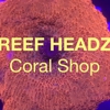 Reef Headz gallery