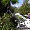 SaveMore Tree Service Inc gallery