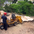 USA Tree Service