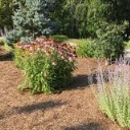 Taylor's Landscaping & Maintenance - Lawn & Garden Equipment & Supplies