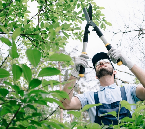 Murphy's A-1 Tree Service