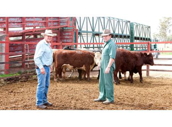 Allora Veterinary Clinic - Allora, QLD