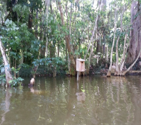 Kayaking Florida Waters - Leesburg, FL