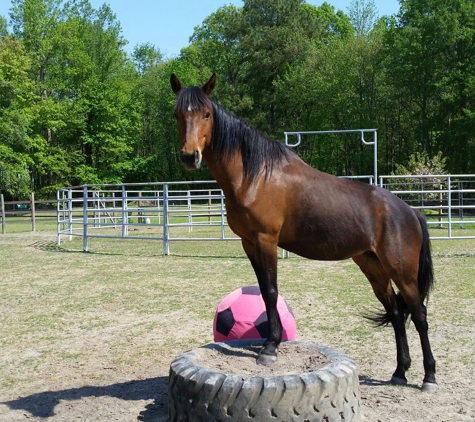 Saddle Up Stables - Bridgeville, DE