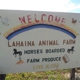 Lahaina Animal Farm & Guest Ranch